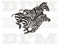 /album/ostatne-zvierata/ostatne-zvierata-7-jpg/